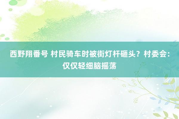 西野翔番号 村民骑车时被街灯杆砸头？村委会：仅仅轻细脑摇荡