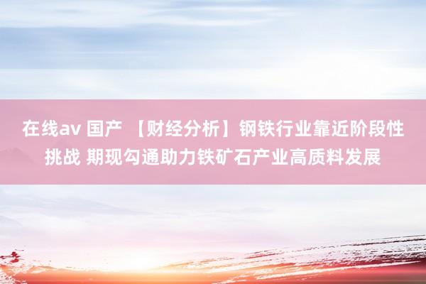 在线av 国产 【财经分析】钢铁行业靠近阶段性挑战 期现勾通助力铁矿石产业高质料发展