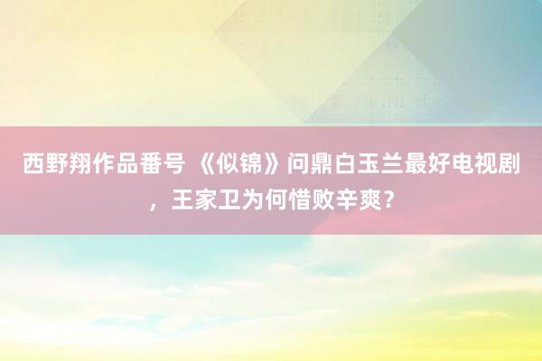 西野翔作品番号 《似锦》问鼎白玉兰最好电视剧，王家卫为何惜败辛爽？