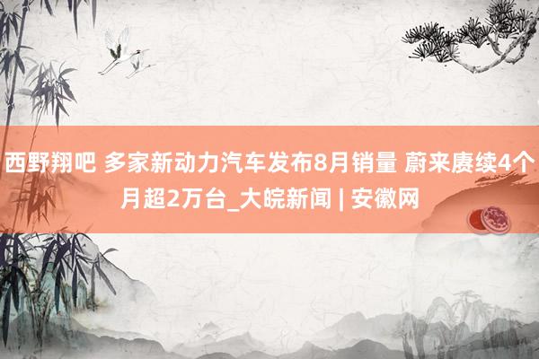 西野翔吧 多家新动力汽车发布8月销量 蔚来赓续4个月超2万台_大皖新闻 | 安徽网