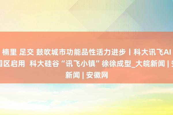 楠里 足交 鼓吹城市功能品性活力进步丨科大讯飞AI总部园区启用  科大硅谷“讯飞小镇”徐徐成型_大皖