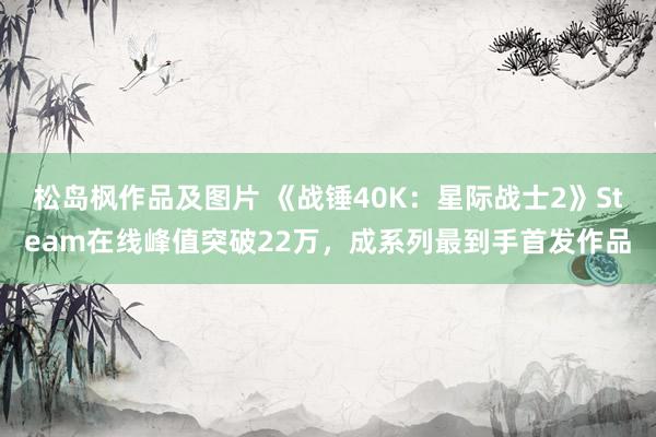 松岛枫作品及图片 《战锤40K：星际战士2》Steam在线峰值突破22万，成系列最到手首发作品