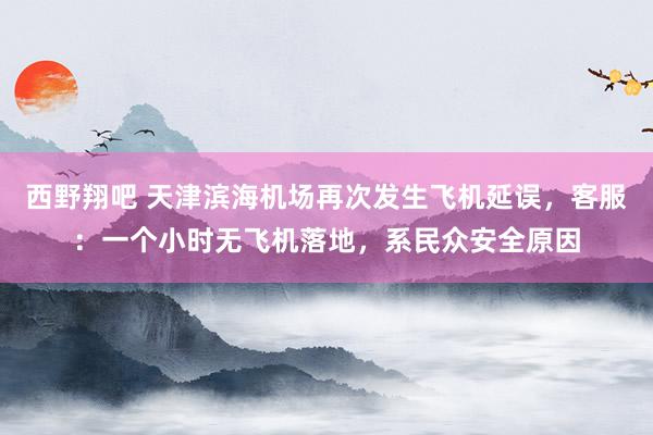 西野翔吧 天津滨海机场再次发生飞机延误，客服：一个小时无飞机落地，系民众安全原因