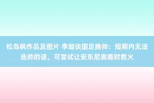 松岛枫作品及图片 李璇谈国足换帅：短期内无法选帅的话，可尝试让安东尼奥临时救火