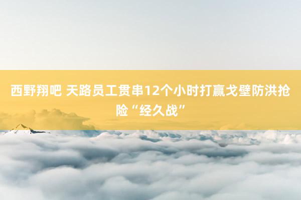 西野翔吧 天路员工贯串12个小时打赢戈壁防洪抢险“经久战”