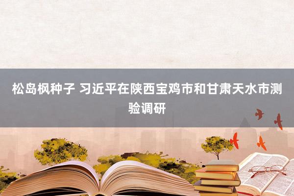 松岛枫种子 习近平在陕西宝鸡市和甘肃天水市测验调研