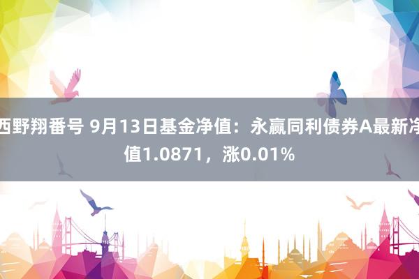 西野翔番号 9月13日基金净值：永赢同利债券A最新净值1.0871，涨0.01%