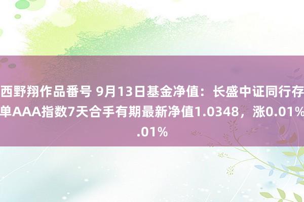 西野翔作品番号 9月13日基金净值：长盛中证同行存单AAA指数7天合手有期最新净值1.0348，涨0.01%