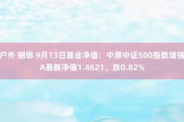 户外 捆绑 9月13日基金净值：中原中证500指数增强A最新净值1.4621，跌0.82%