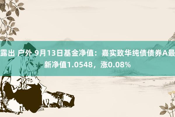 露出 户外 9月13日基金净值：嘉实致华纯债债券A最新净值1.0548，涨0.08%