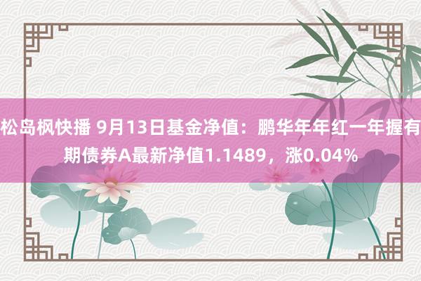 松岛枫快播 9月13日基金净值：鹏华年年红一年握有期债券A最新净值1.1489，涨0.04%