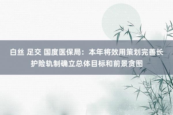 白丝 足交 国度医保局：本年将效用策划完善长护险轨制确立总体目标和前景贪图