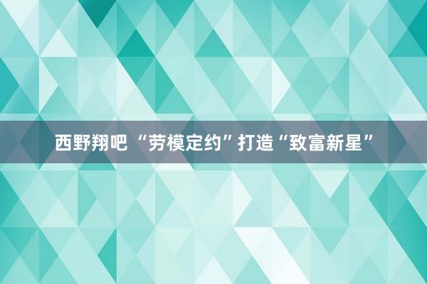 西野翔吧 “劳模定约”打造“致富新星”