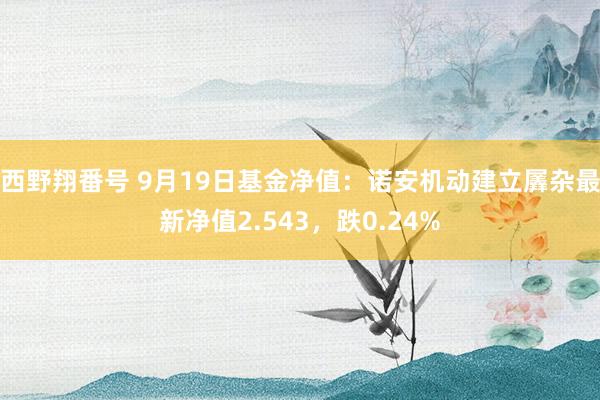 西野翔番号 9月19日基金净值：诺安机动建立羼杂最新净值2.543，跌0.24%