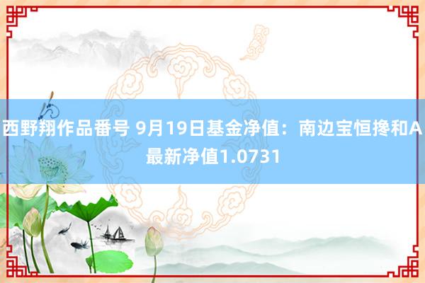 西野翔作品番号 9月19日基金净值：南边宝恒搀和A最新净值1.0731