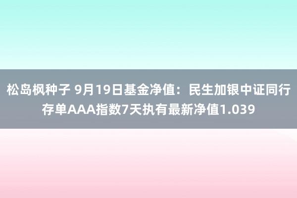 松岛枫种子 9月19日基金净值：民生加银中证同行存单AAA指数7天执有最新净值1.039