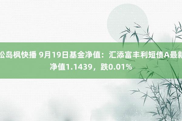 松岛枫快播 9月19日基金净值：汇添富丰利短债A最新净值1.1439，跌0.01%