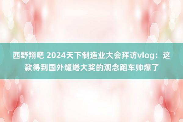 西野翔吧 2024天下制造业大会拜访vlog：这款得到国外缱绻大奖的观念跑车帅爆了