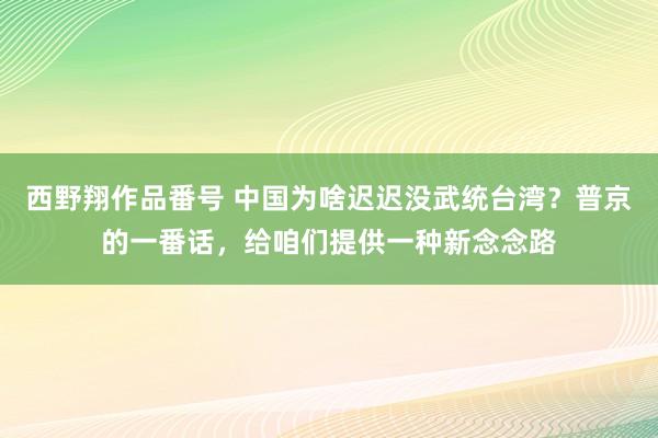 西野翔作品番号 中国为啥迟迟没武统台湾？普京的一番话，给咱们提供一种新念念路