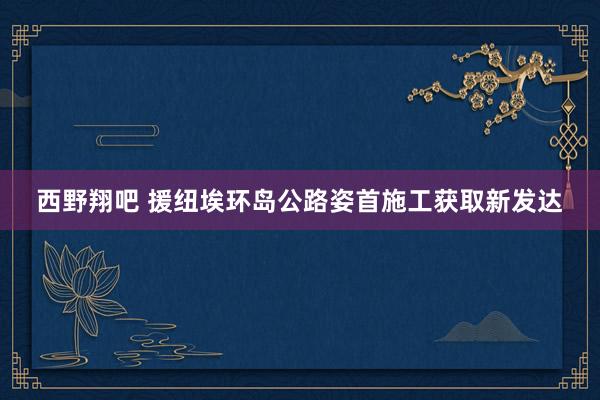 西野翔吧 援纽埃环岛公路姿首施工获取新发达