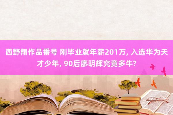 西野翔作品番号 刚毕业就年薪201万, 入选华为天才少年, 90后廖明辉究竟多牛?