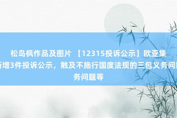 松岛枫作品及图片 【12315投诉公示】欧亚集团新增3件投诉公示，触及不施行国度法规的三包义务问题等