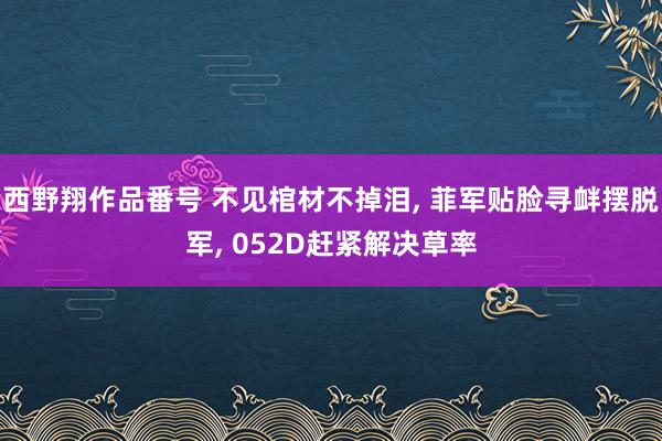 西野翔作品番号 不见棺材不掉泪, 菲军贴脸寻衅摆脱军, 052D赶紧解决草率