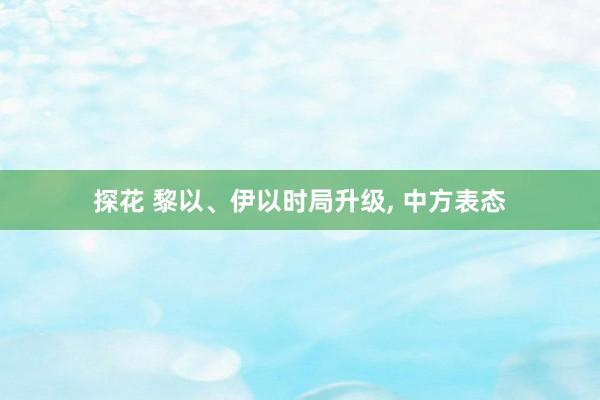 探花 黎以、伊以时局升级, 中方表态