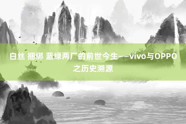 白丝 捆绑 蓝绿两厂的前世今生——vivo与OPPO之历史溯源