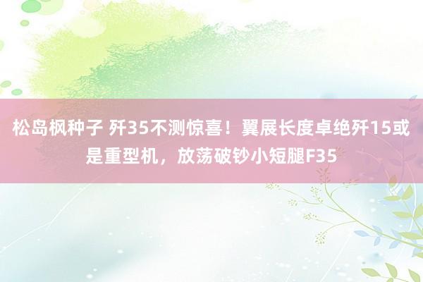 松岛枫种子 歼35不测惊喜！翼展长度卓绝歼15或是重型机，放荡破钞小短腿F35