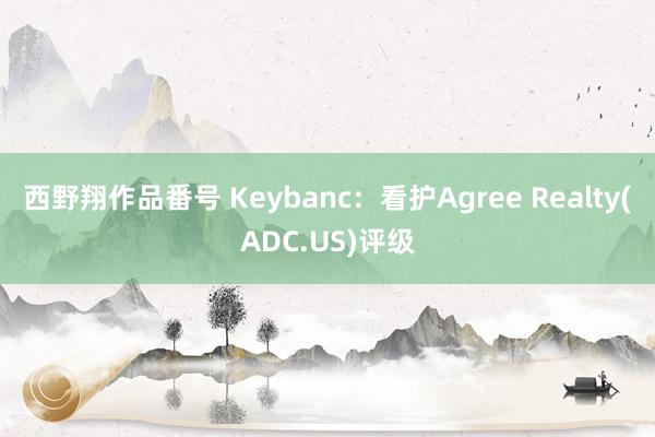 西野翔作品番号 Keybanc：看护Agree Realty(ADC.US)评级