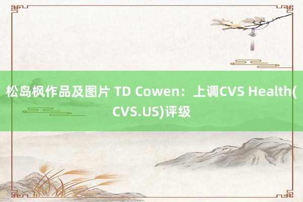 松岛枫作品及图片 TD Cowen：上调CVS Health(CVS.US)评级