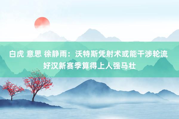 白虎 意思 徐静雨：沃特斯凭射术或能干涉轮流 好汉新赛季算得上人强马壮