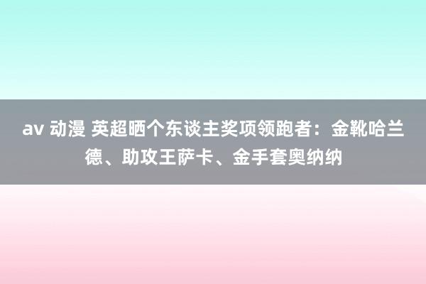 av 动漫 英超晒个东谈主奖项领跑者：金靴哈兰德、助攻王萨卡、金手套奥纳纳