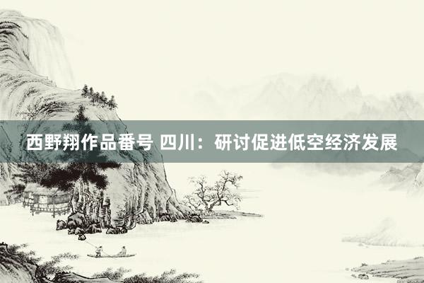 西野翔作品番号 四川：研讨促进低空经济发展