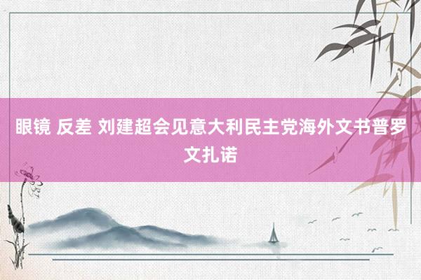 眼镜 反差 刘建超会见意大利民主党海外文书普罗文扎诺