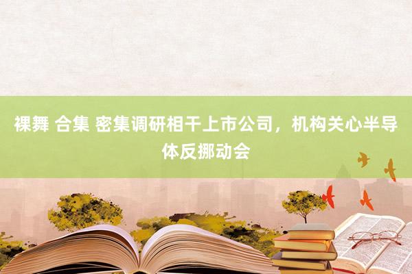 裸舞 合集 密集调研相干上市公司，机构关心半导体反挪动会