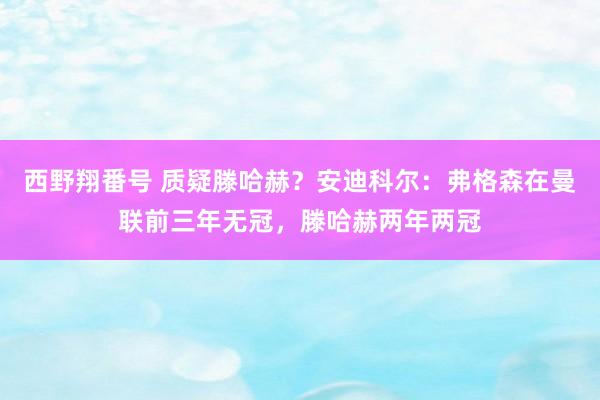 西野翔番号 质疑滕哈赫？安迪科尔：弗格森在曼联前三年无冠，滕哈赫两年两冠