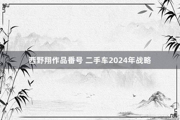 西野翔作品番号 二手车2024年战略