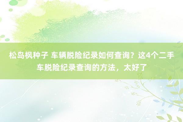 松岛枫种子 车辆脱险纪录如何查询？这4个二手车脱险纪录查询的方法，太好了