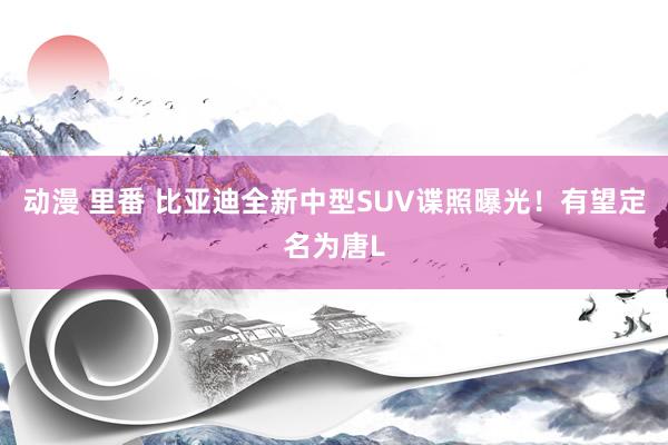 动漫 里番 比亚迪全新中型SUV谍照曝光！有望定名为唐L