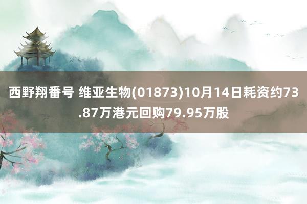 西野翔番号 维亚生物(01873)10月14日耗资约73.87万港元回购79.95万股