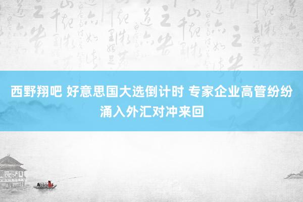 西野翔吧 好意思国大选倒计时 专家企业高管纷纷涌入外汇对冲来回