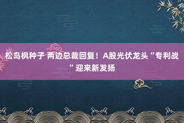 松岛枫种子 两边总裁回复！A股光伏龙头“专利战”迎来新发扬