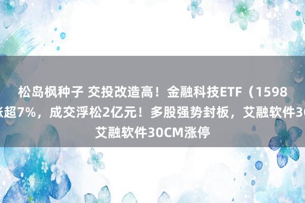 松岛枫种子 交投改造高！金融科技ETF（159851）拉涨超7%，成交浮松2亿元！多股强势封板，艾融软件30CM涨停