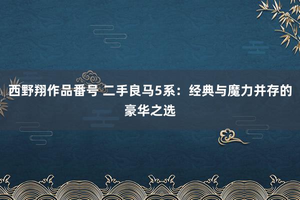 西野翔作品番号 二手良马5系：经典与魔力并存的豪华之选