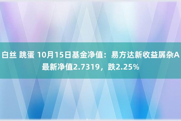 白丝 跳蛋 10月15日基金净值：易方达新收益羼杂A最新净值2.7319，跌2.25%