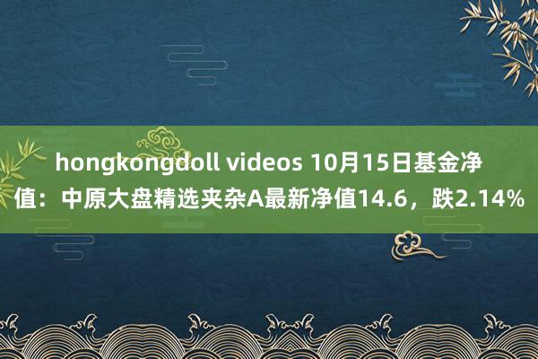 hongkongdoll videos 10月15日基金净值：中原大盘精选夹杂A最新净值14.6，跌