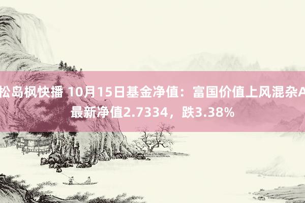 松岛枫快播 10月15日基金净值：富国价值上风混杂A最新净值2.7334，跌3.38%