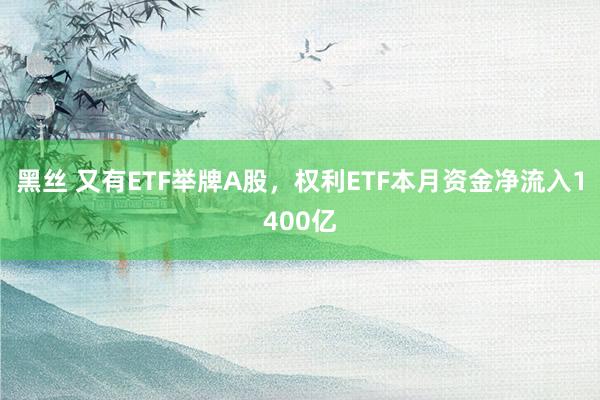 黑丝 又有ETF举牌A股，权利ETF本月资金净流入1400亿